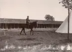 Officer vid Livregementets husarer K 3 till häst.