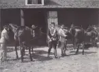 Soldater och officerare vid Livregementets husarer K 3 med hästar utanför stall.
