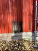 Panel på hyttans södra sida under ommålning.