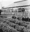 Sovjetunionens Jorbruksutställning 