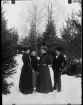 Fotografi i serie för identifiering av motiv ur A C Hultgrens fotosamling.

Kommentar:
Omkring 1920.