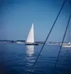 Segelbåt i Brenton Cove, Newport i samband med Newport Bermuda Race 1954.