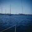 Segelbåtar ankrade i Brenton Cove, Newport i samband med Newport Bermuda Race 1954.