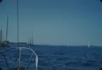 Blick böröver från HAZARD III över kappseglingsbåtar som rör sig från Brenton Cove, Newport till startlinjen i Newport Bermuda Race 1954. Segelbåtarna färdas för motor då vädret är mojt.
