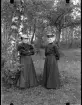 Fotografi i serie för identifiering av motiv ur A C Hultgrens fotosamling.