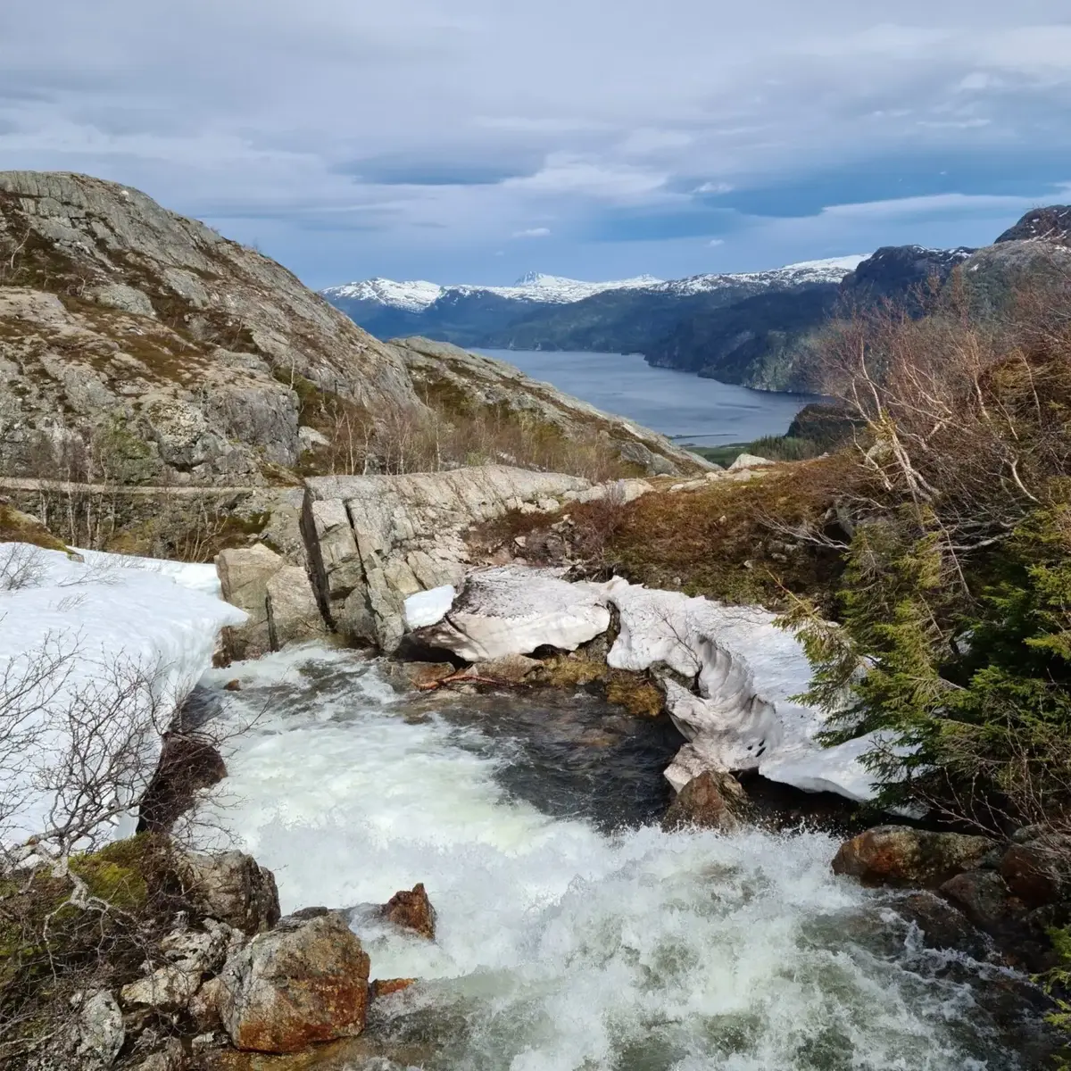 Landskap