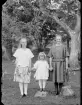 Fotografi i serie för identifiering av motiv ur A C Hultgrens fotosamling.