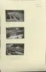 Skansen. Byggnader. Delsbogården.  Under byggnad 1939-40.