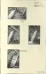 Skansen. Byggnader. Delsbogården före flyttningen. Gåsbackafäjset. Från rivningen mars 1939. Fäjseldstadens skorsten, skorstensstocken på vardagsstugans sps.