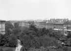 Vy över Humlegården i Stockholm med husrad utmed Sturegatan i fonden. I bildens vänsterkant en skymt av Kungliga biblioteket. Foto omkring 1910.