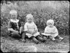 Fotografi i serie för identifiering av motiv ur A C Hultgrens fotosamling.