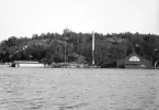 Del av Djurgårdens norra strand från Djurgårdsbrunnsviken. På höjden ses utsikten Bredablick, för tillfället särskilt flaggprytt. Det byggda i strandlinjen avslöjar att bilden tillkom i samband med Stockholmsutställningen 1897, där inte minst nyfikenheten inför attraktionerna i 