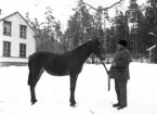 Man och häst utanför bostadshus.