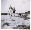 En kvinna, pojke och hund som tar en promenad på stranden. Text baksida kort: 