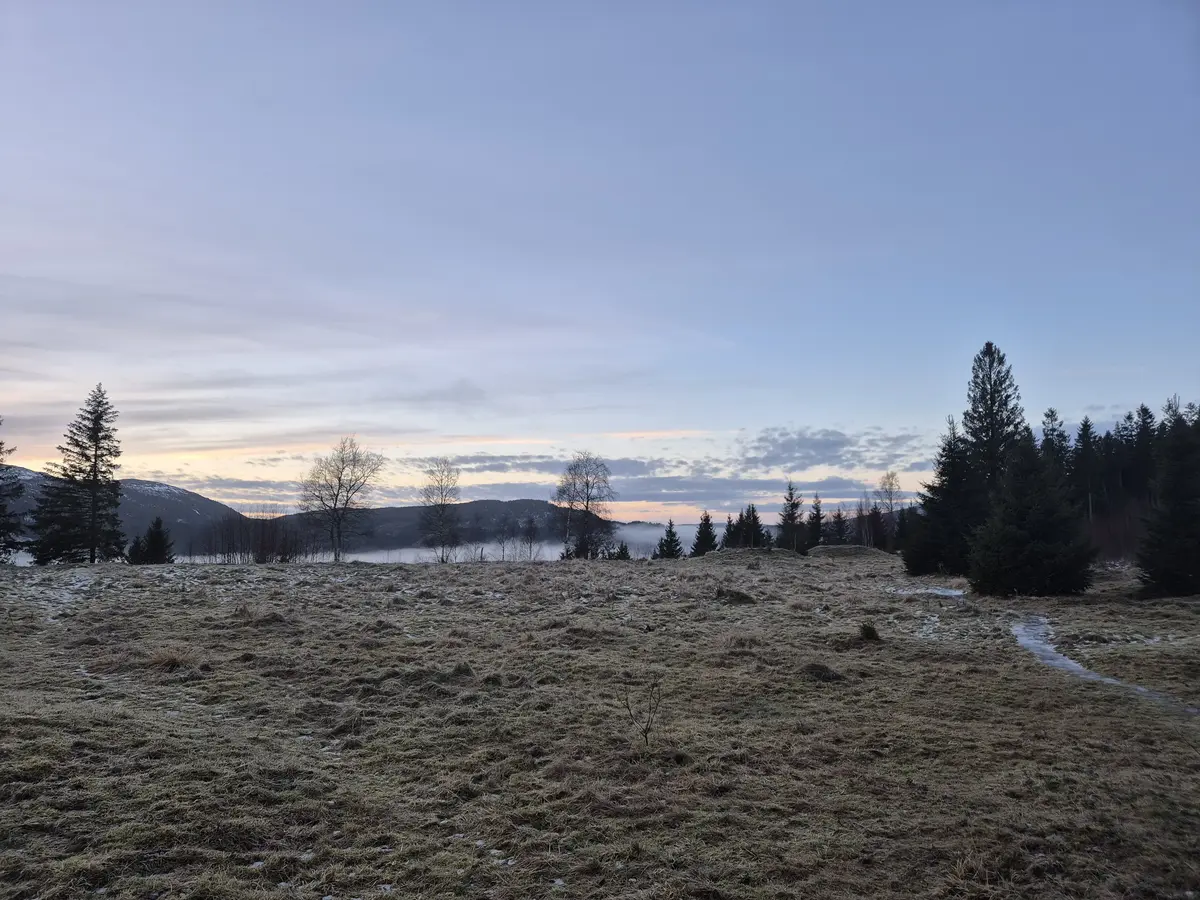 Åpent landskap med tufter