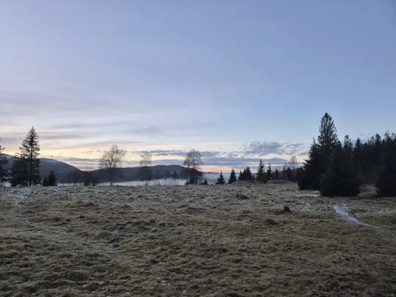 Åpent landskap med tufter