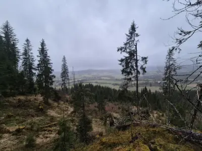 lanskap