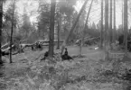 Fiskartorpsskogen i Norra Djurgården efter den förstörande cyklon som drabbade Stockholm natten till den 5 oktober 1908. Den dunkelt avbildade kvinnan torde varit en bekant till fotografen och som här likt staffagefigur betraktar stormens resultat.
