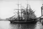 Skutor vid kaj i Nybroviken. Foto omkring år 1900.