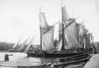 Tungt lastad med stadens aldrig sinade behov av vedbrand. Först i raden av skutor på rad vid kaj i Nybroviken. Foto omkring år 1900.