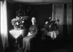 Fotografi i serie för identifiering av motiv ur A C Hultgrens fotosamling.