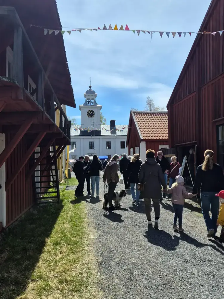 Flera personer mitt bland flera äldre byggnader i olika färger.