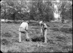 Fotografi i serie för identifiering av motiv ur A C Hultgrens fotosamling.