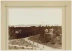 Två hus bland skog med två vägar som går runt dem.
