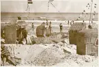 Stranden i Binz på ön Rügen med strandkorgar som skydd mot vinden från östersjön, sommaren 1930 (enligt text i album).