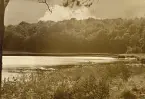 Vy över Schwarzer see som är en sjö som ligger i de naturskyddade området Granitz på ön Rügen, sommaren 1930 (enligt text i album).