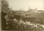 Utsikt från Japanisches Palais i Dresden, sommaren 1930 (enligt text i album).