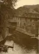 Prag: Kampa, sommaren 1930 (enligt text i album).
