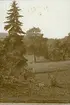 Prag: Petrín, sommaren 1930 (enligt text i album). Petrín är en kulle med stort grönområde som består av fyra olika parker och ett stort antal gångvägar. Källa: Google.