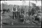 Trädplantering