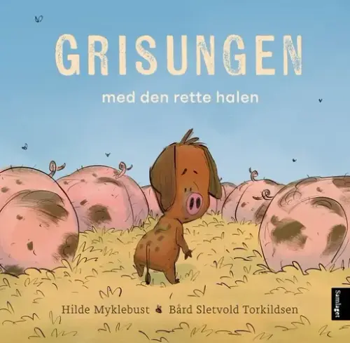 Bokomslag