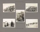 Sida ur fotoalbum från resan med WIKING X runt den skandinaviska halvön år 1925. Vyer från Tylö i storm, apan Jocke och Tylökon och Falsterbo bad.