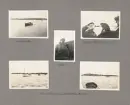 Sida ur fotoalbum från resan med WIKING X runt den skandinaviska halvön år 1925. Vyer från Sundsvall
, apan Jocke får en snaps
, C.G. Pettersson och 
på Högarnsfjärden 9.11.25