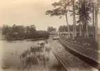 Timmerflottning vid Strömsbro, Gävle (enligt text i album).