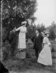 Fotografi i serie för identifiering av motiv ur A C Hultgrens fotosamling.