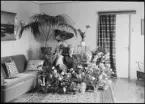Fotografi i serie för identifiering av motiv ur A C Hultgrens fotosamling.