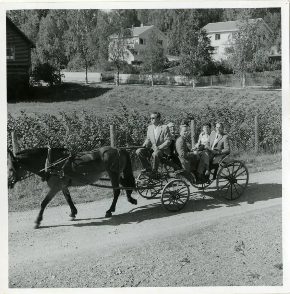 Hest og vogn på vei inn på museumsområdet