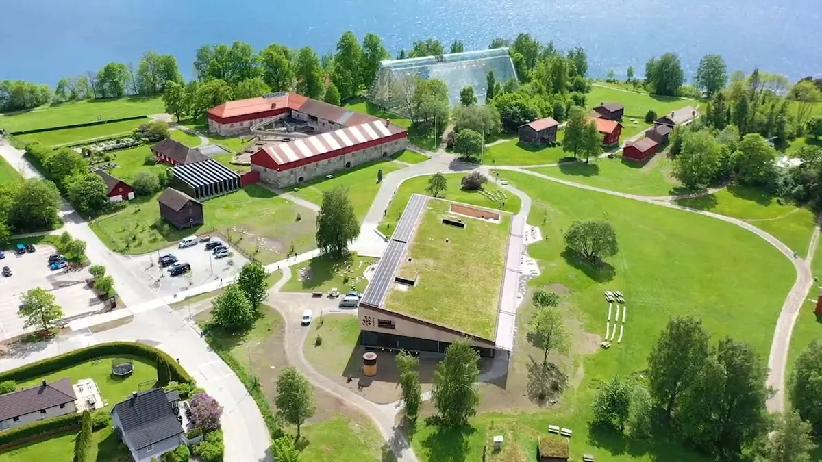 Dronefoto av Anno Domkirkeodden historiesenter med grønt torvtak, omgitt av grøntområder og trær om sommeren.