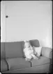 Fotografi i serie för identifiering av motiv ur A C Hultgrens fotosamling.