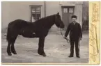 En man som står rakt fram mot kameran och håller i tömmarna på den häst som står bredvid honom. Mannen håller en piska? i andra handen.