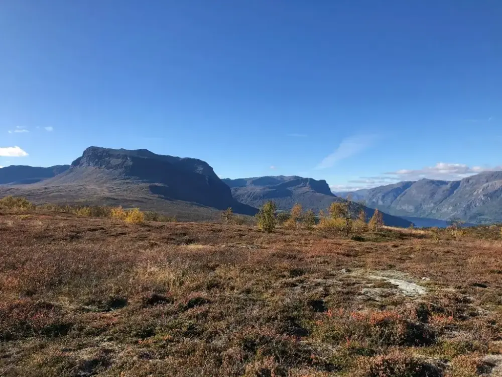 lyng og fjell