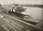 Salongsbåtar vid kaj i Djurgårdshamnen. Text på baksida 