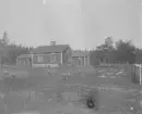 Foto av Gröndal, med fåren (enligt text vid bild).
