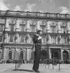 En flottist går högvakt vid Stockholms slott.