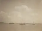 Skonare, fiskebåt och ångfartyg.