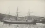 Fartyget M/S Caracas. Text på baksida 